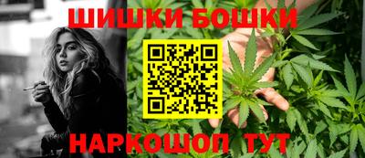 наркотики Сланцы