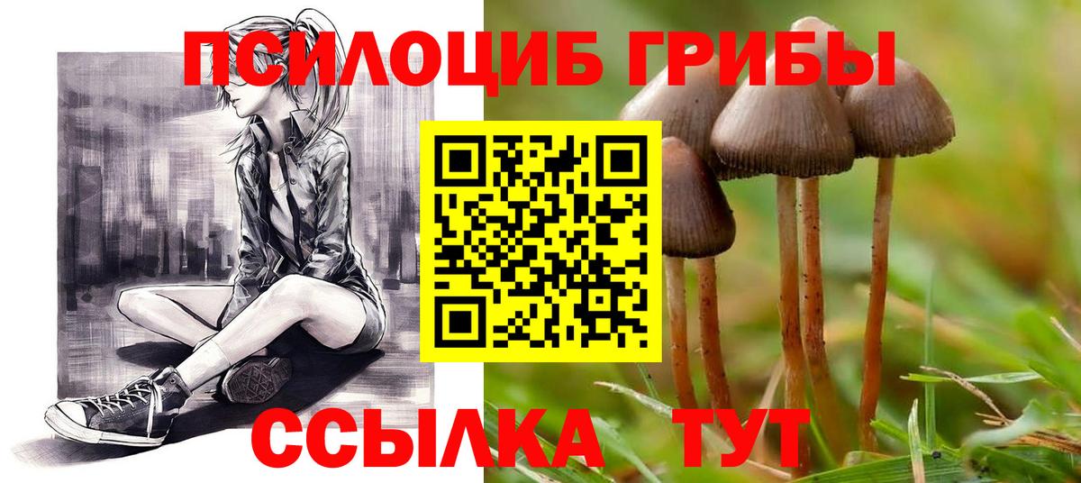 Павловский Посад  Галлюциногенные грибы Cubensis  Вход с VPN 